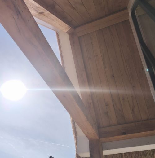 Vrijstaande luxe woning Vianen